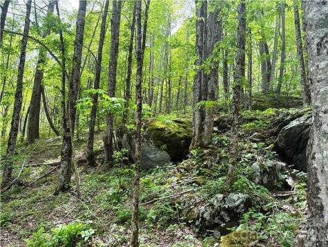 Tbd Spice Creek Road Banner Elk NC 28604