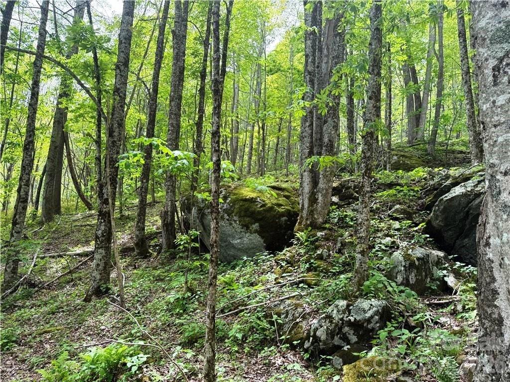 Tbd Spice Creek Road Banner Elk NC 28604