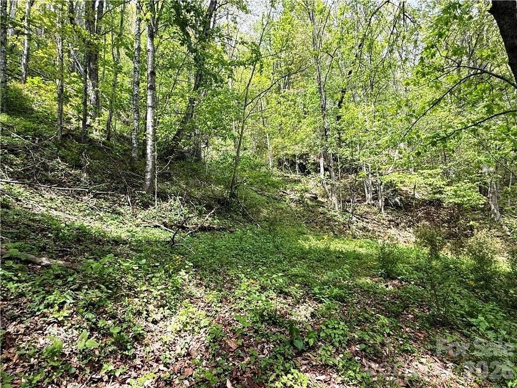 Tbd Spice Creek Road Banner Elk NC 28604