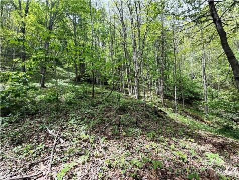 Tbd Spice Creek Road Banner Elk NC 28604