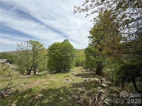 Tbd Spice Creek Road Banner Elk NC 28604
