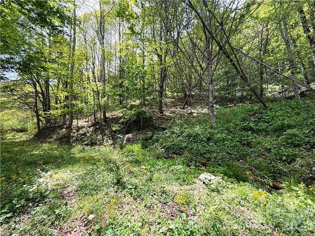 Tbd Spice Creek Road Banner Elk NC 28604