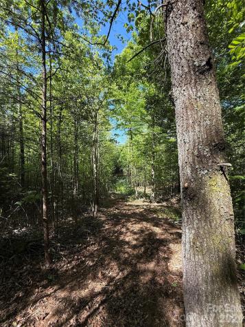 Lot # 4 West Legacy Drive Hendersonville NC 28739