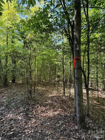Lot # 4 West Legacy Drive Hendersonville NC 28739