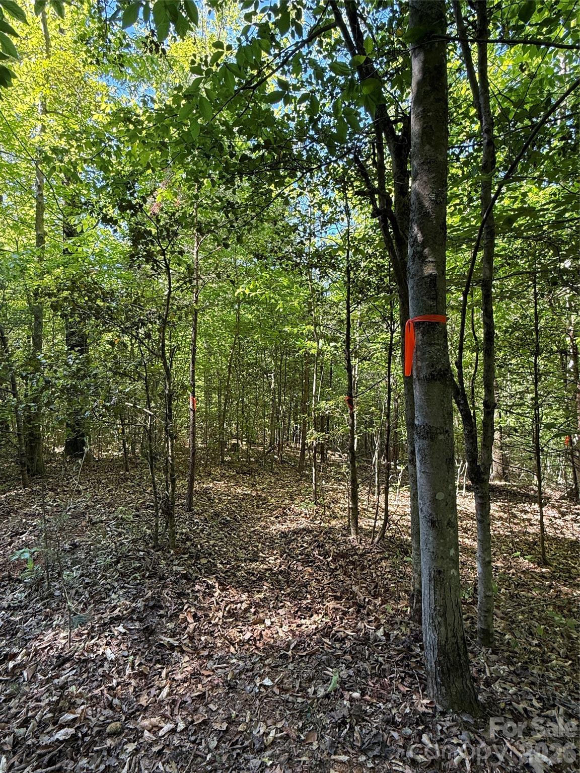 Lot # 4 West Legacy Drive Hendersonville NC 28739