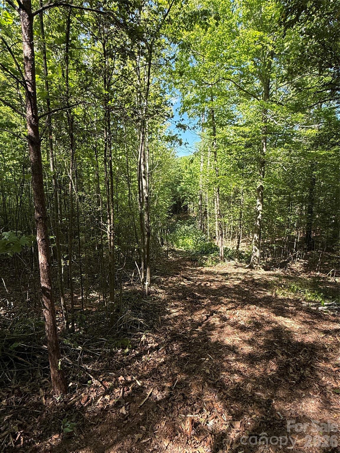 Lot # 4 West Legacy Drive Hendersonville NC 28739