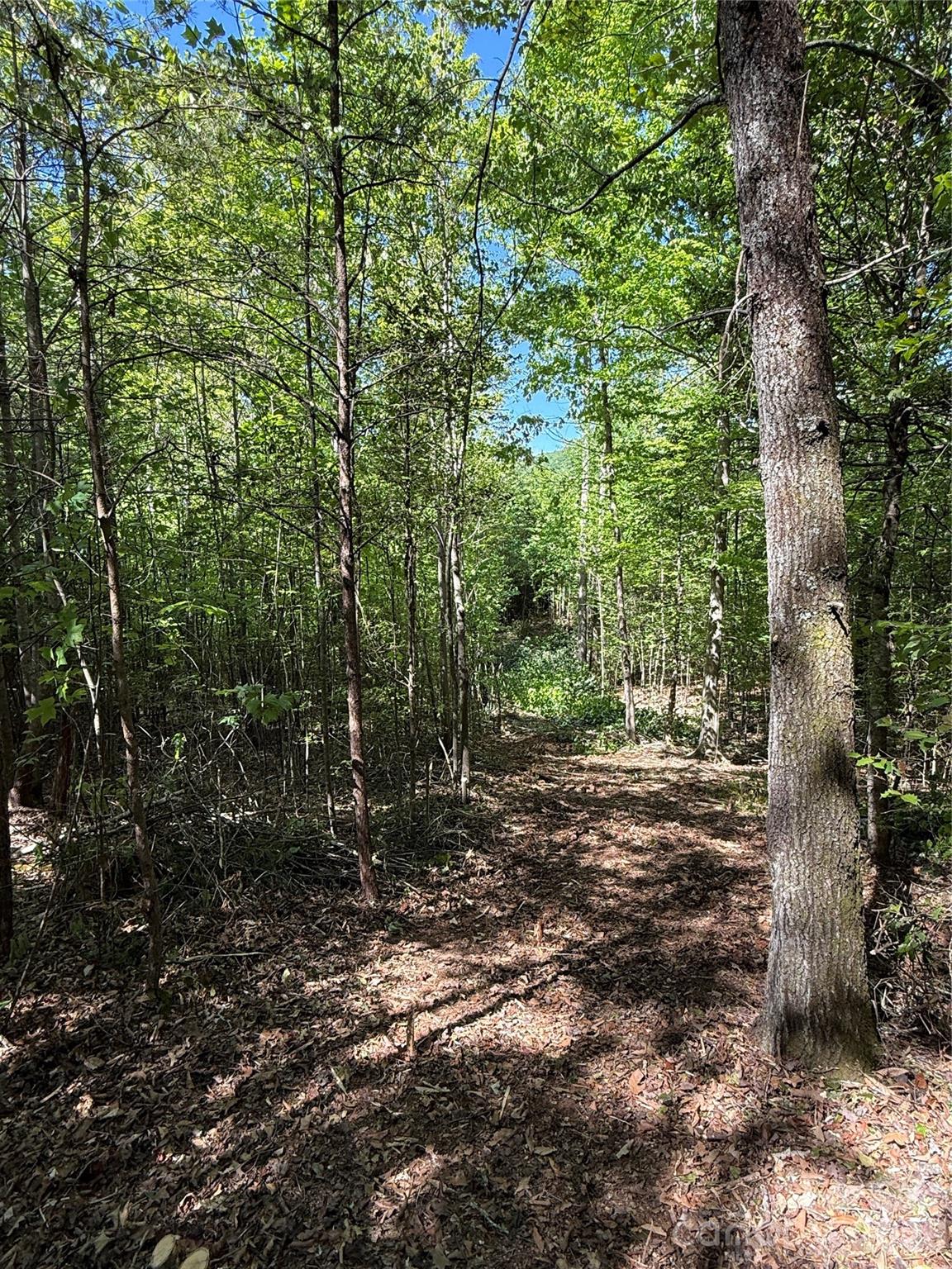 Lot # 4 West Legacy Drive Hendersonville NC 28739