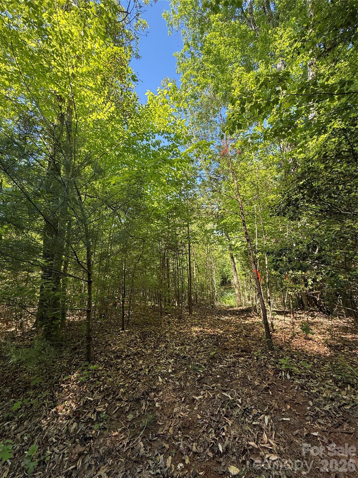 Lot # 4 West Legacy Drive Hendersonville NC 28739