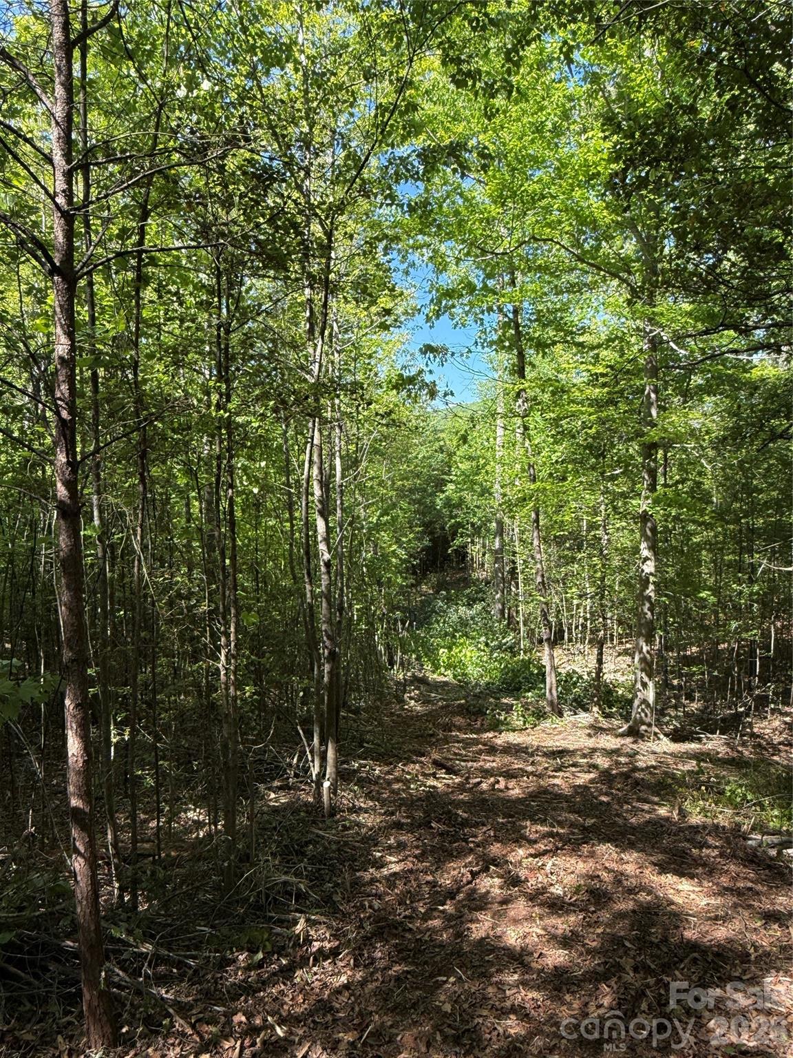 Lot # 4 West Legacy Drive Hendersonville NC 28739