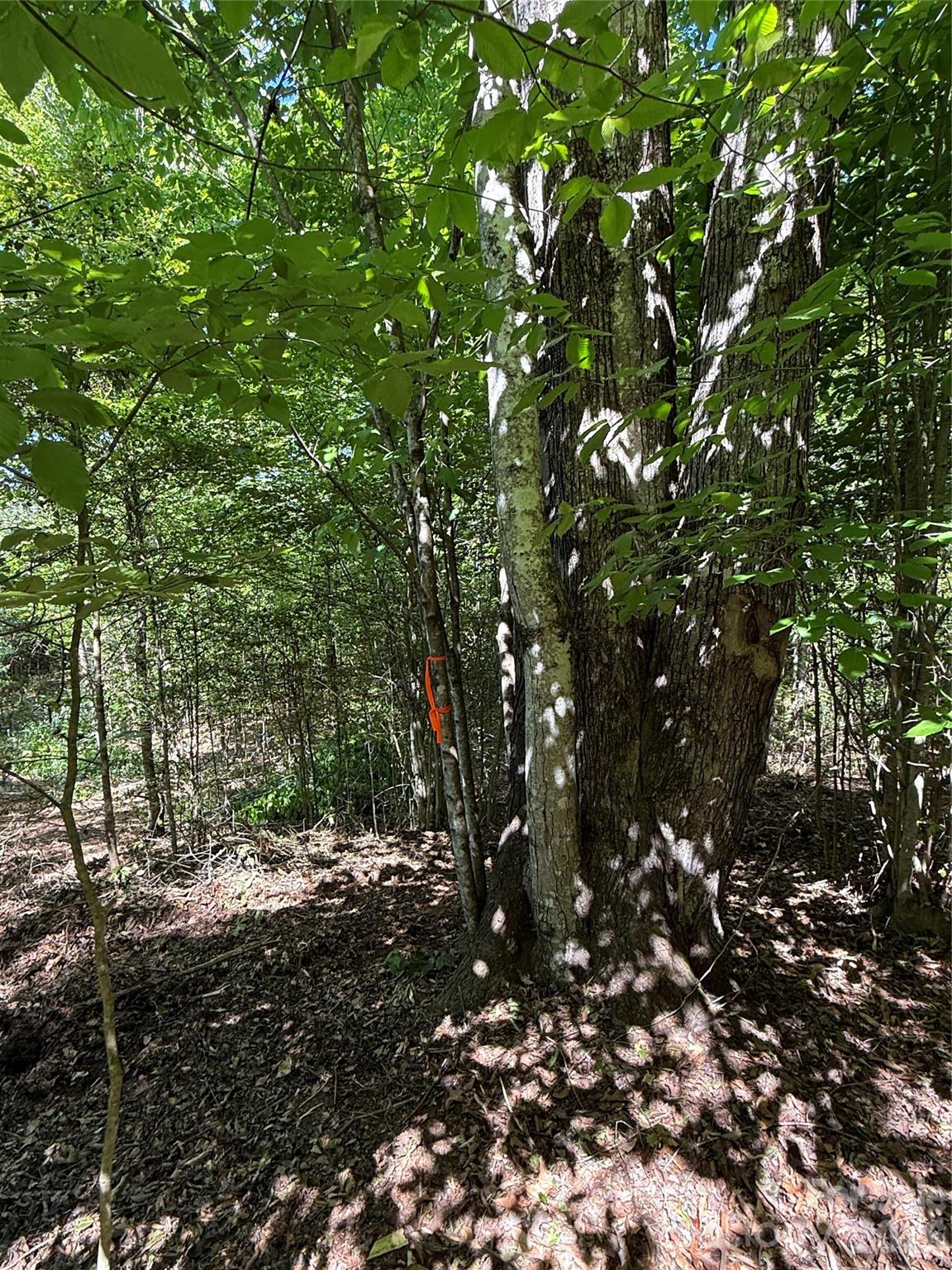 Lot # 4 West Legacy Drive Hendersonville NC 28739