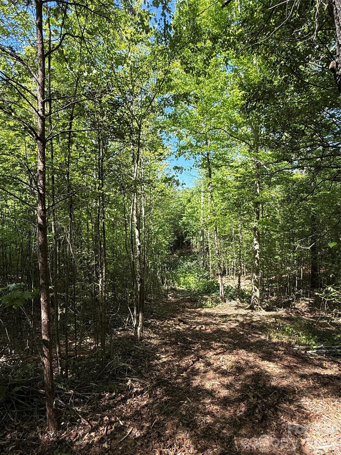 Lot # 4 West Legacy Drive Hendersonville NC 28739