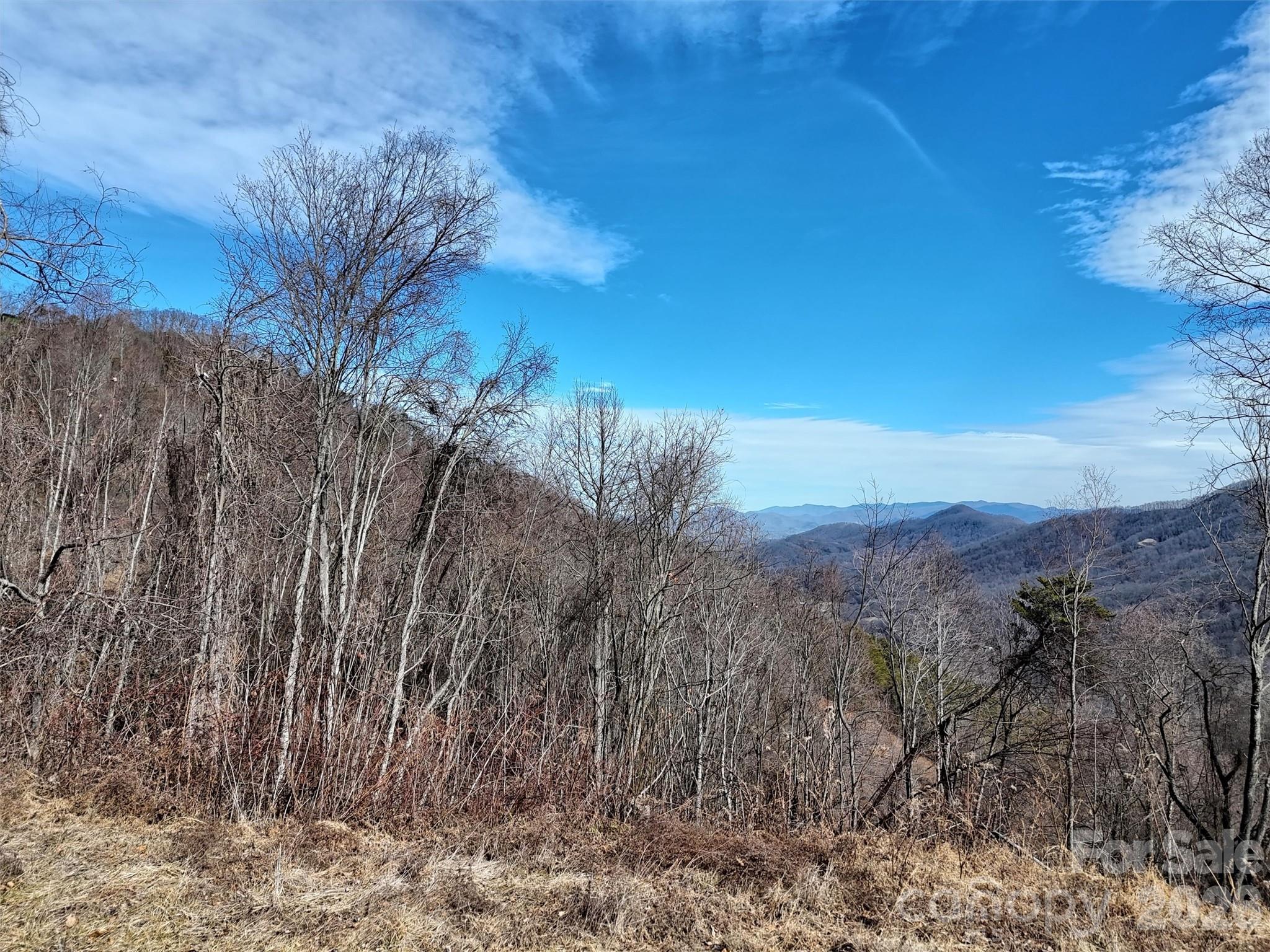 Tbd Rock Ridge Road Leicester NC 28748
