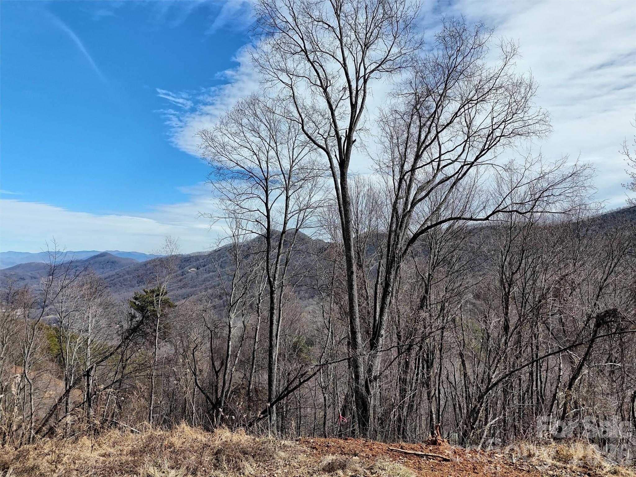Tbd Rock Ridge Road Leicester NC 28748