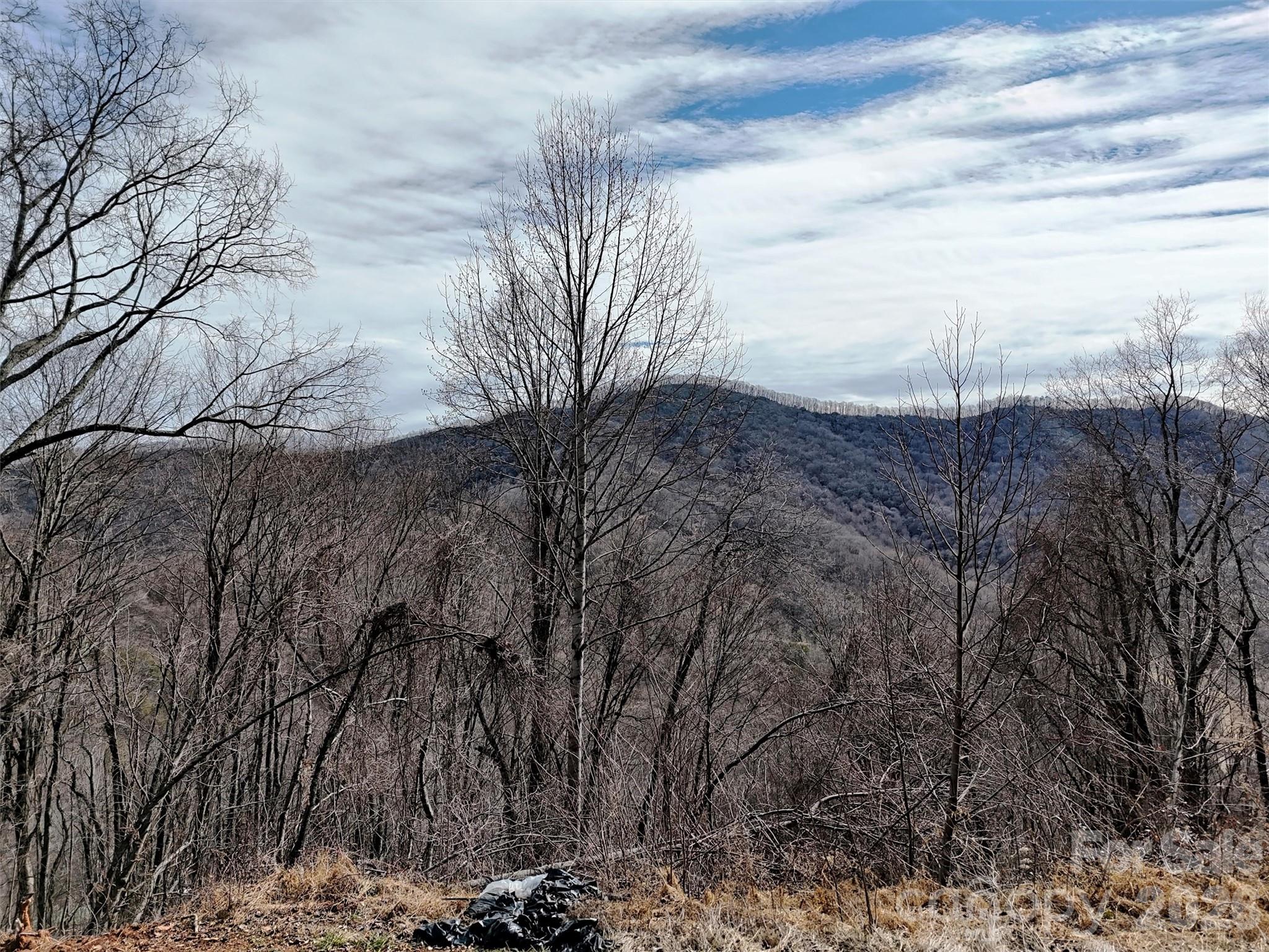 Tbd Rock Ridge Road Leicester NC 28748