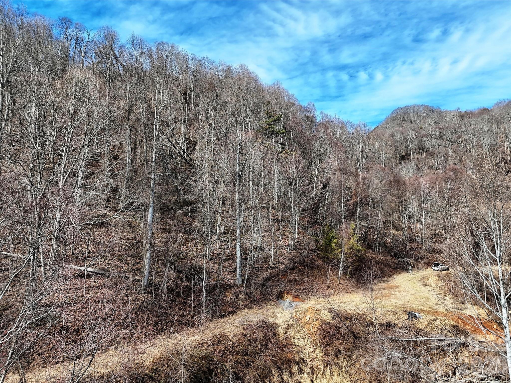 Tbd Rock Ridge Road Leicester NC 28748
