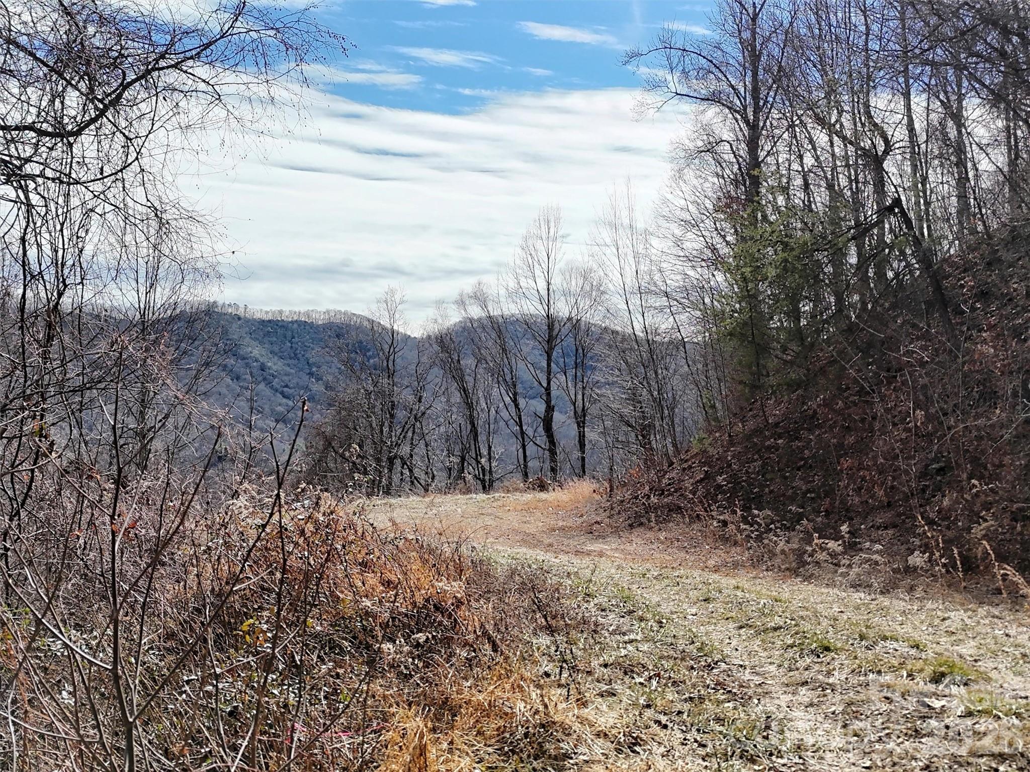 Tbd Rock Ridge Road Leicester NC 28748