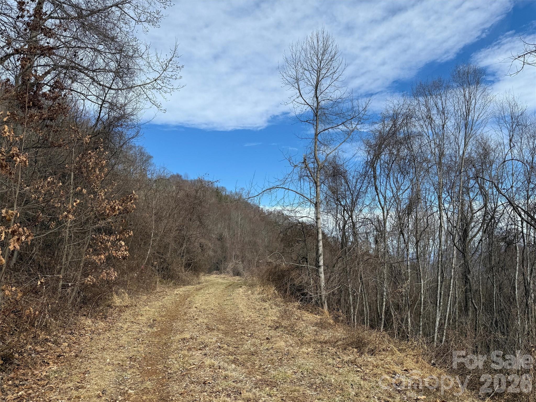 Tbd Rock Ridge Road Leicester NC 28748