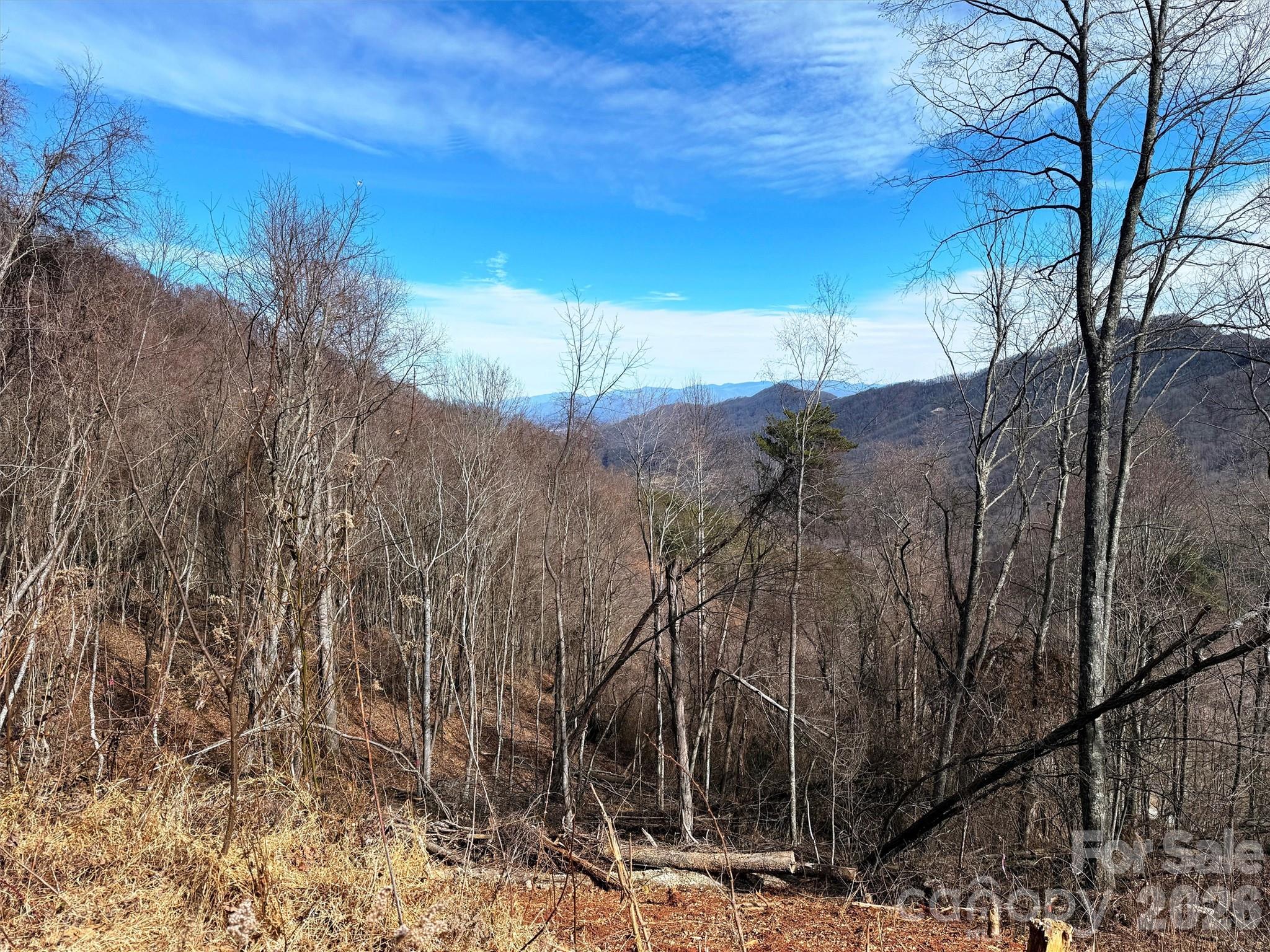 Tbd Rock Ridge Road Leicester NC 28748