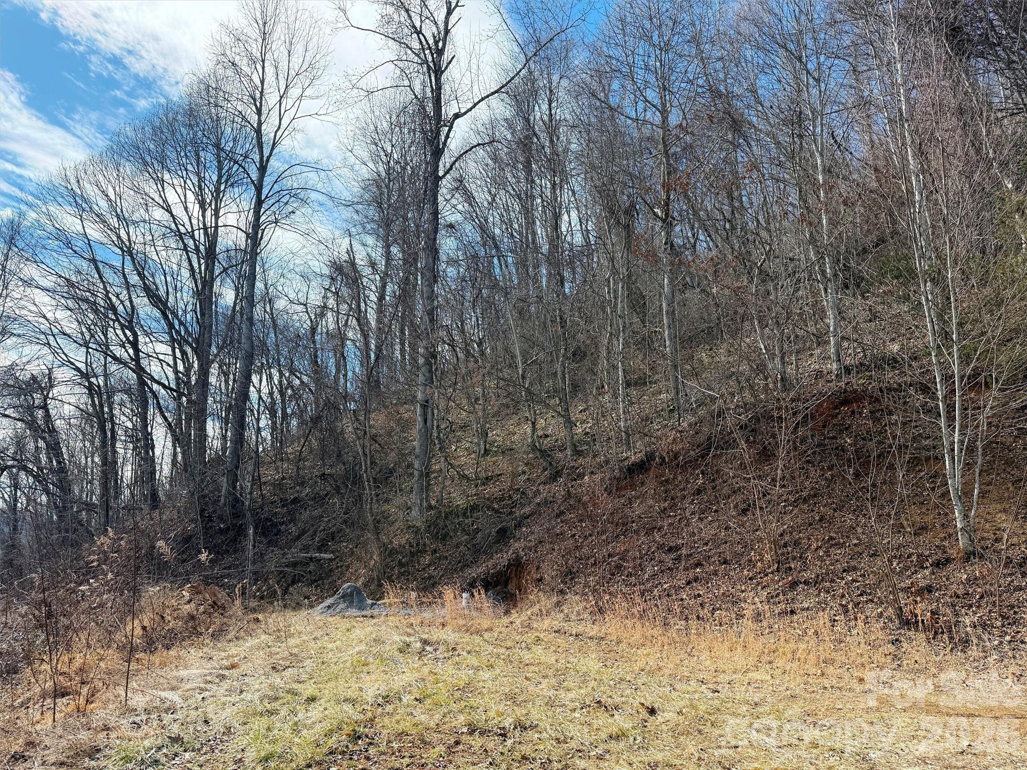 Tbd Rock Ridge Road Leicester NC 28748