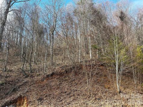 Tbd Rock Ridge Road Leicester NC 28748