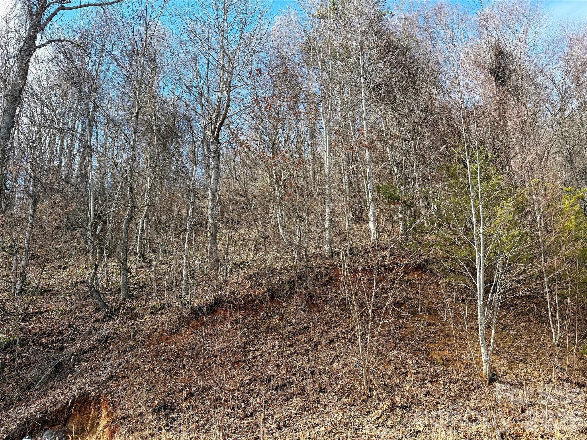 Tbd Rock Ridge Road Leicester NC 28748