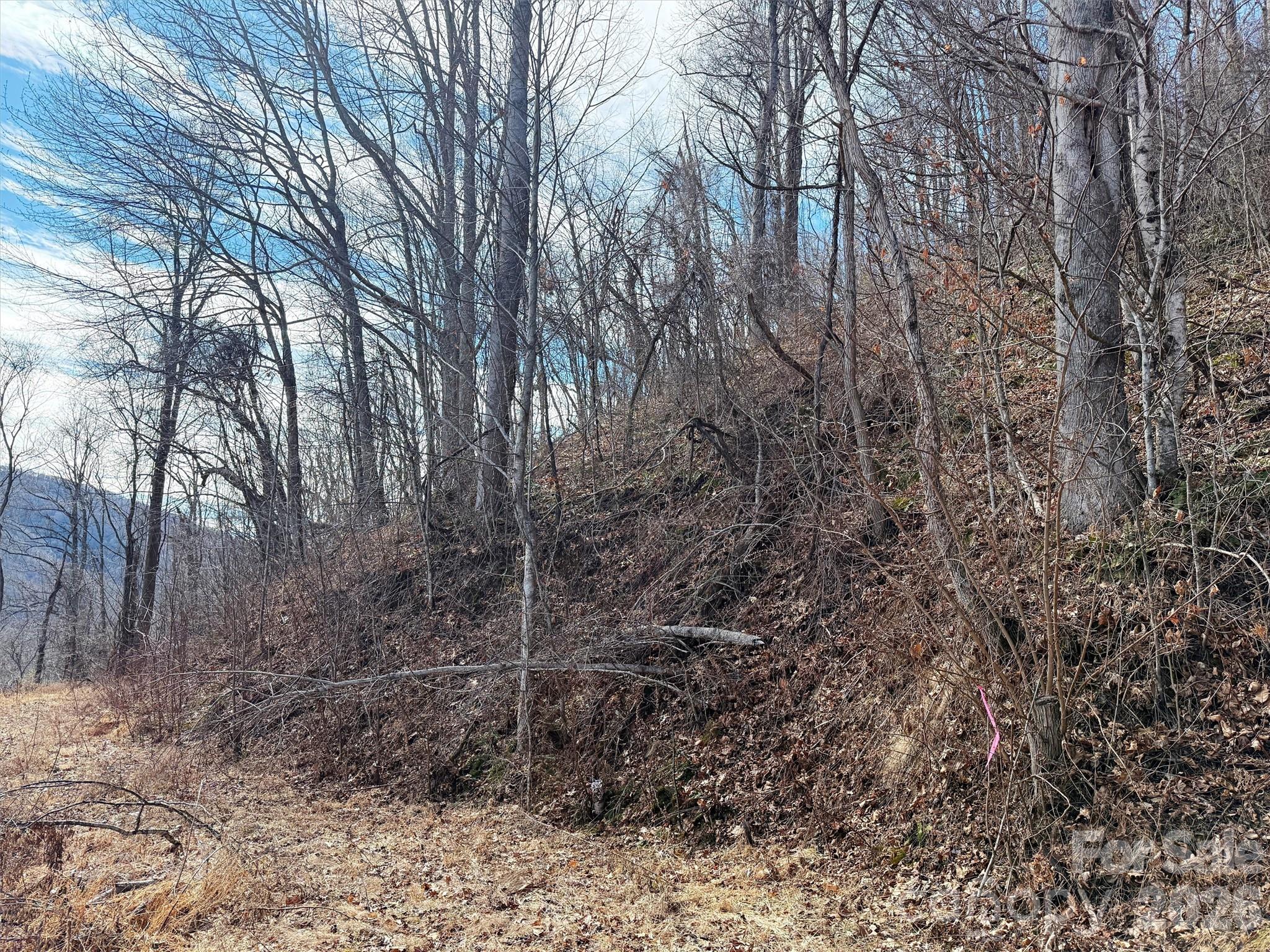 Tbd Rock Ridge Road Leicester NC 28748