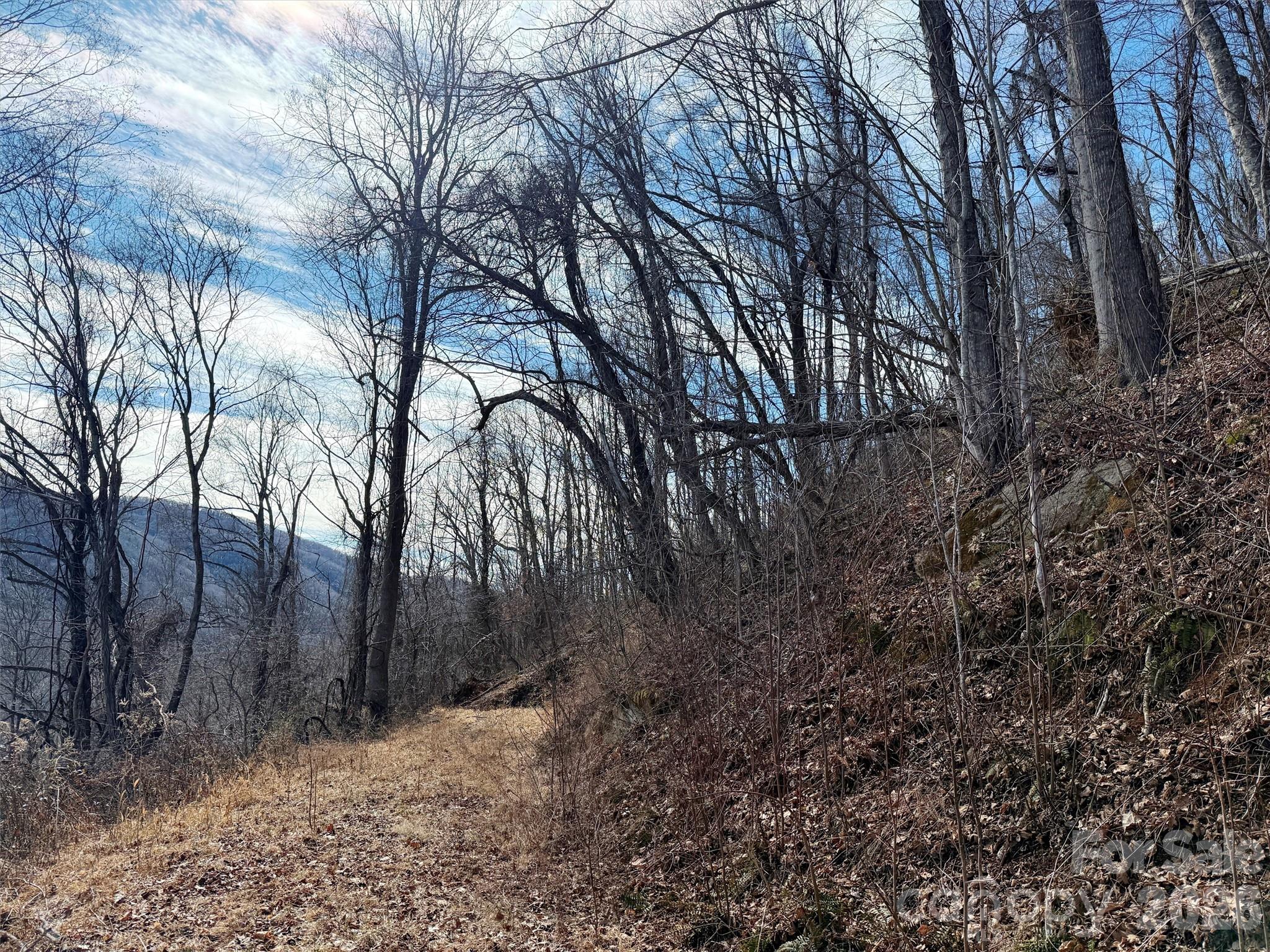 Tbd Rock Ridge Road Leicester NC 28748