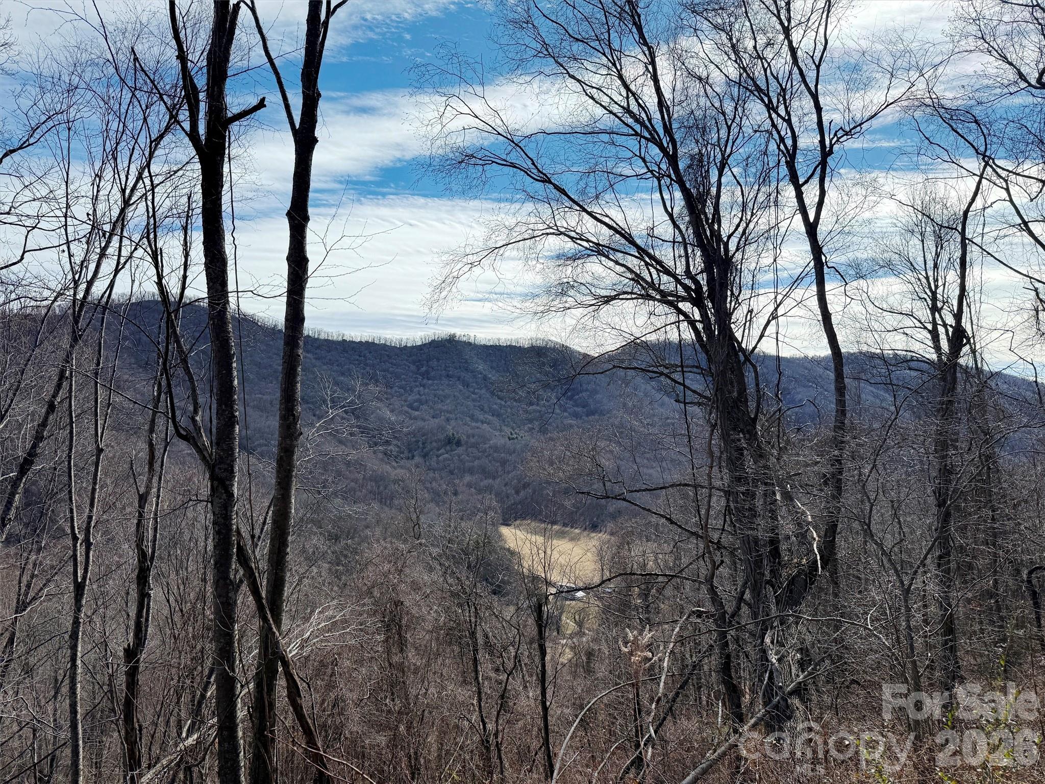 Tbd Rock Ridge Road Leicester NC 28748