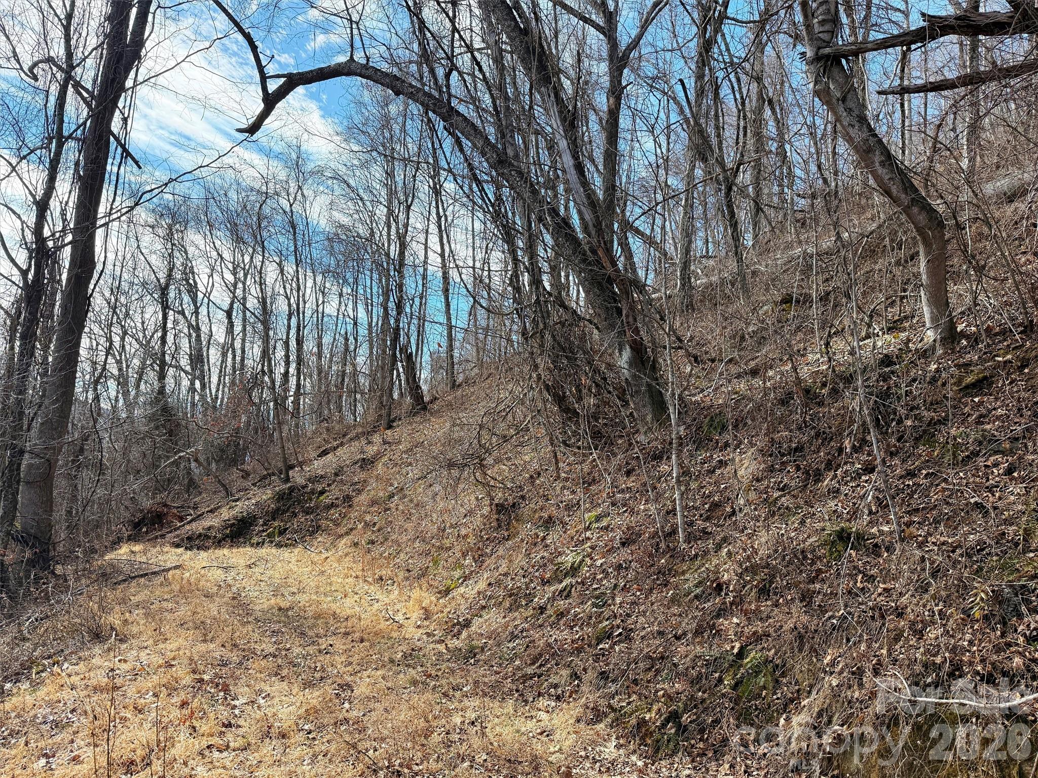 Tbd Rock Ridge Road Leicester NC 28748