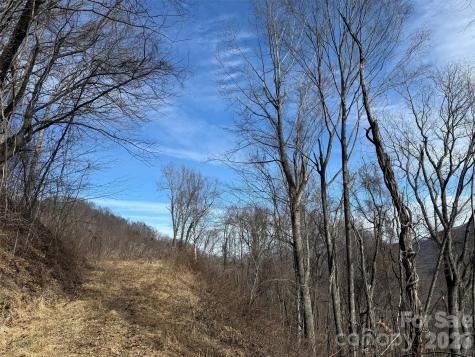 Tbd Rock Ridge Road Leicester NC 28748