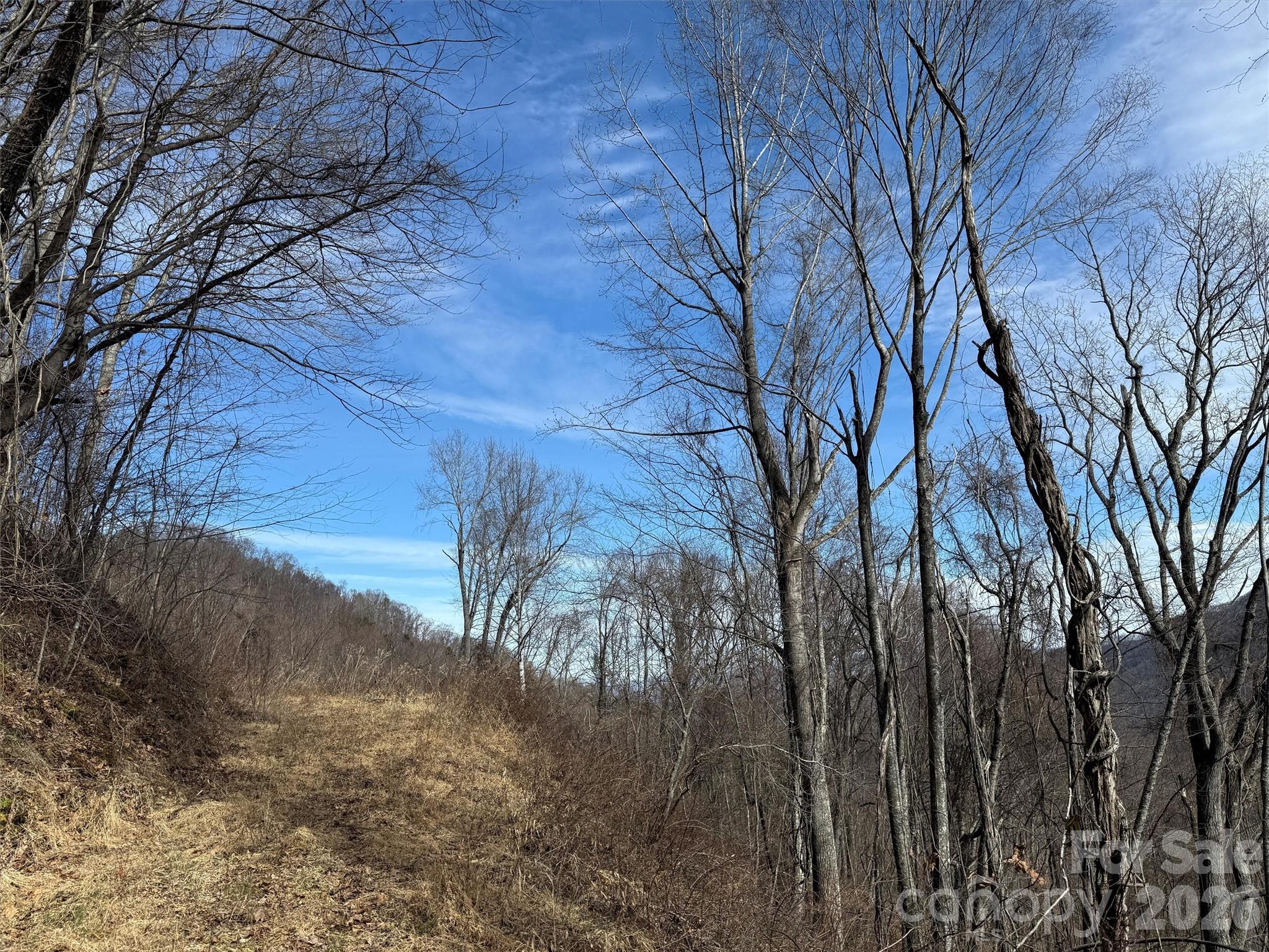 Tbd Rock Ridge Road Leicester NC 28748