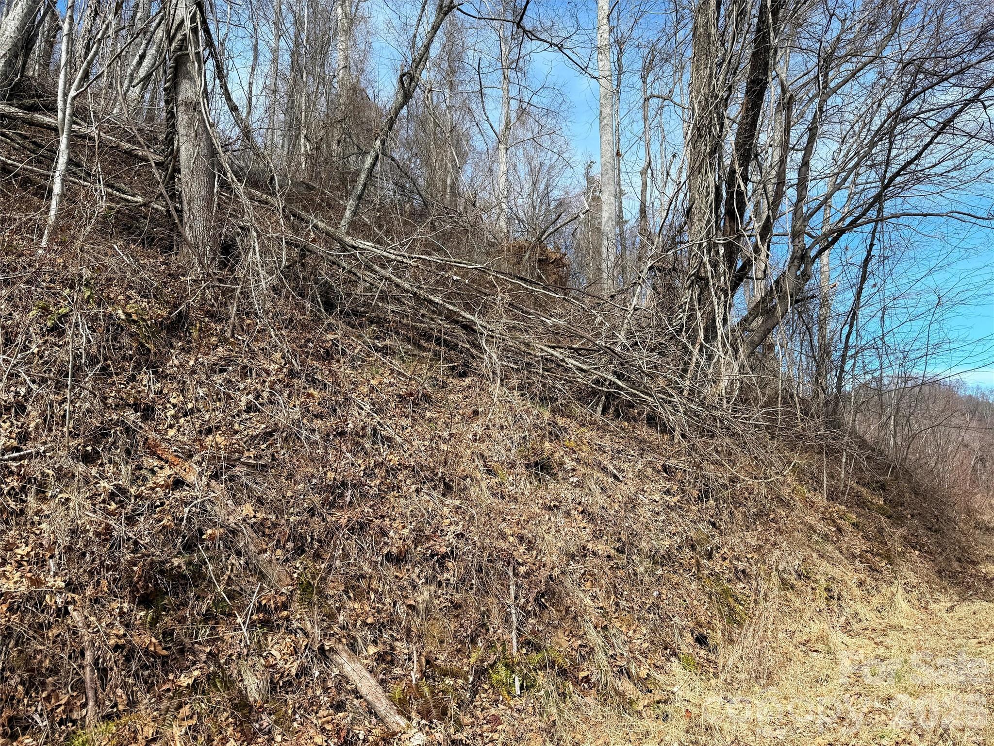 Tbd Rock Ridge Road Leicester NC 28748