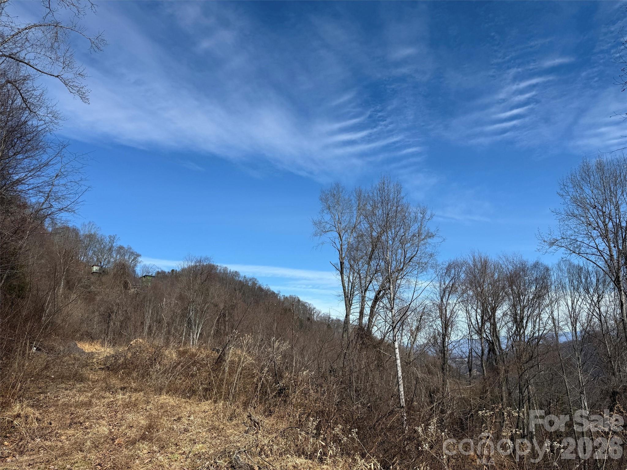 Tbd Rock Ridge Road Leicester NC 28748