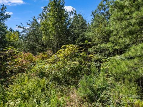 0 Moore Mountain Lane Ellenboro NC 28040