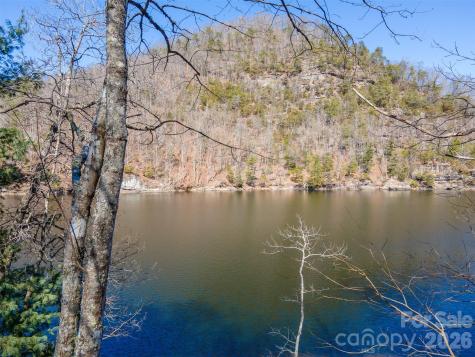 Tuckasegee NC 28783