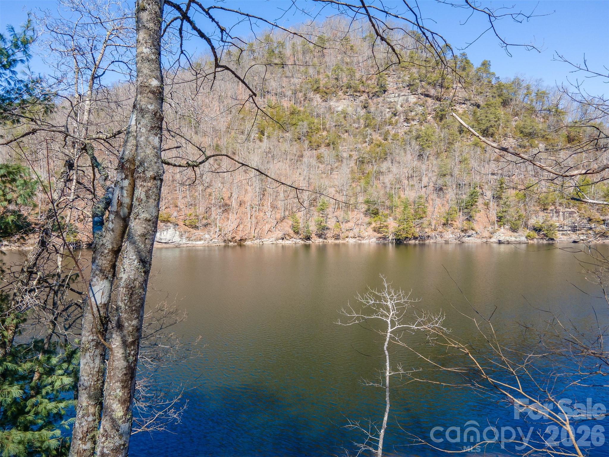 Tuckasegee NC 28783