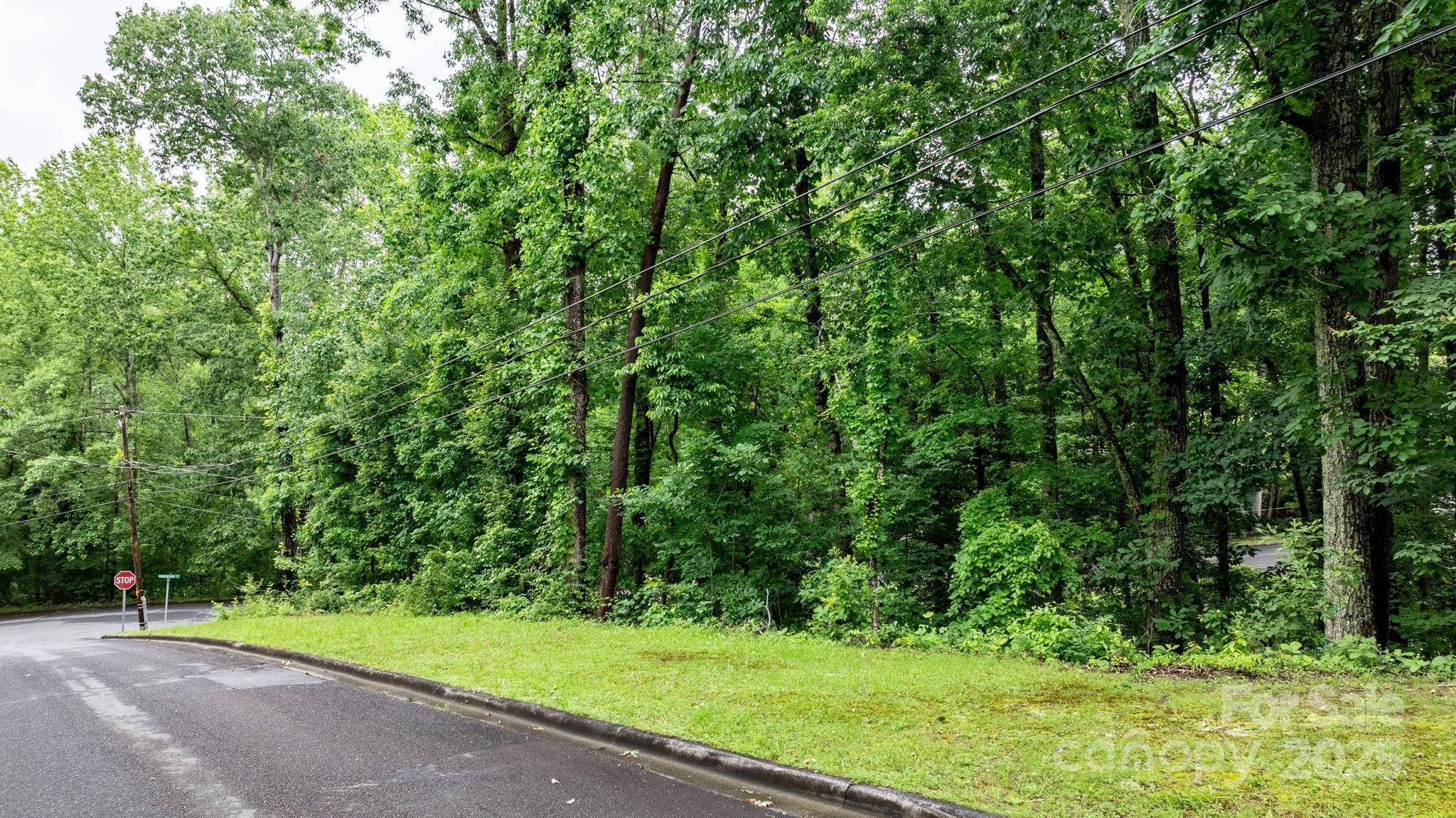 765 Tanglecliff Street SE Valdese NC 28690