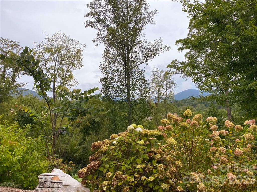 7 Magnolia View Trail Asheville NC 28804