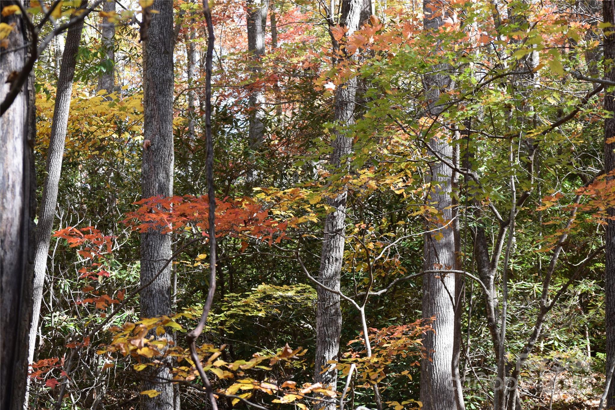 Tbd Clear Creek Road Burnsville NC 28714