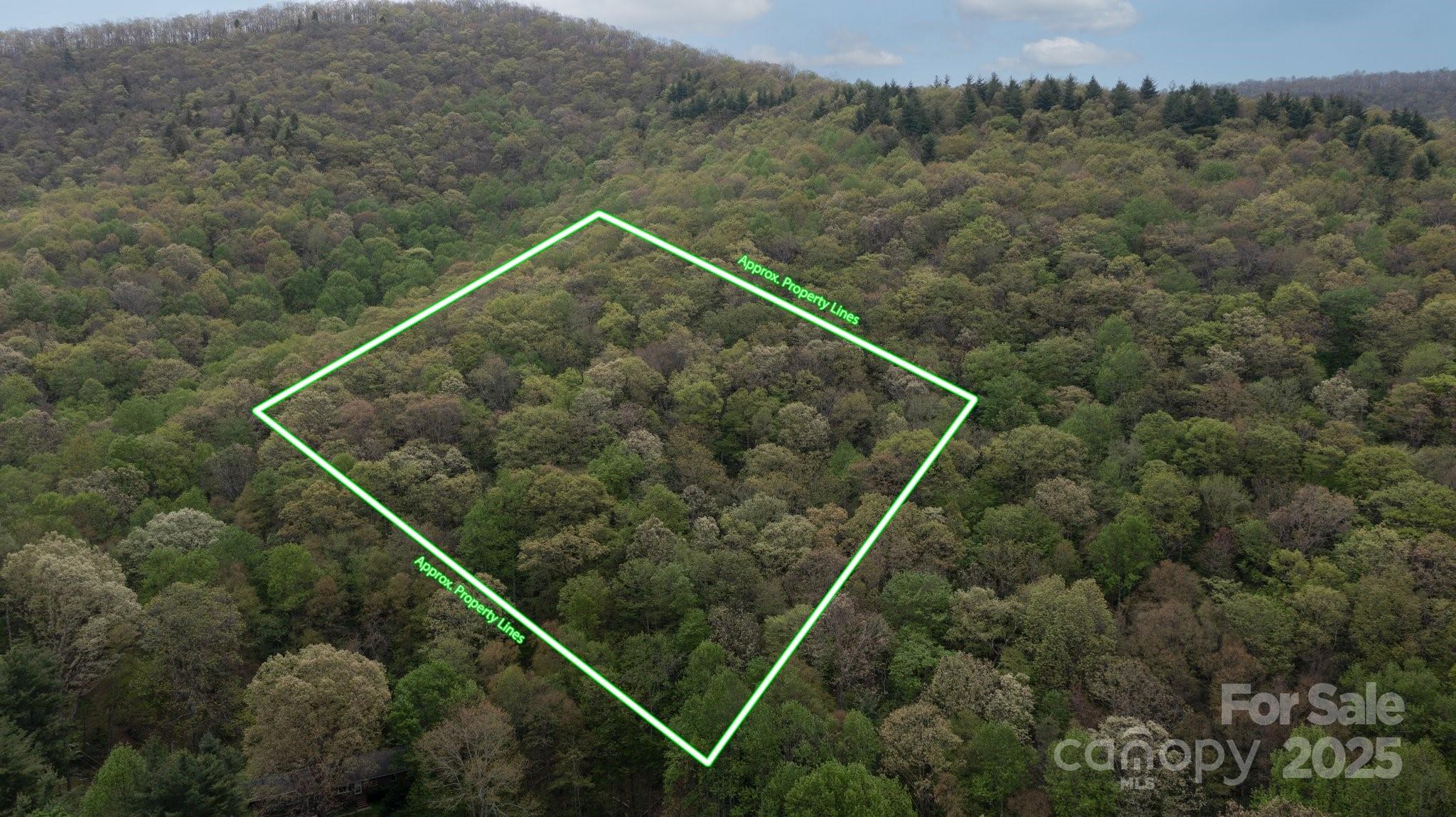 Tbd Clear Creek Road Burnsville NC 28714