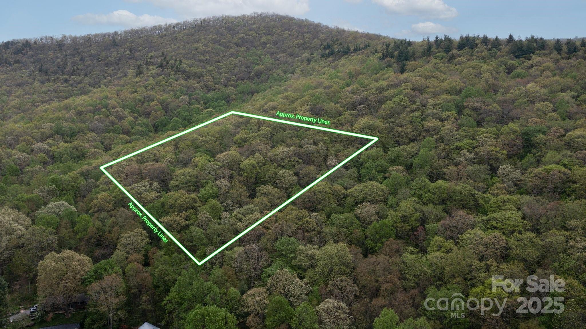 Tbd Clear Creek Road Burnsville NC 28714