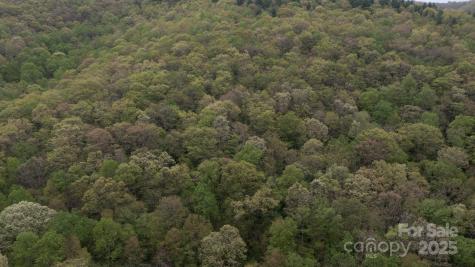 Tbd Clear Creek Road Burnsville NC 28714