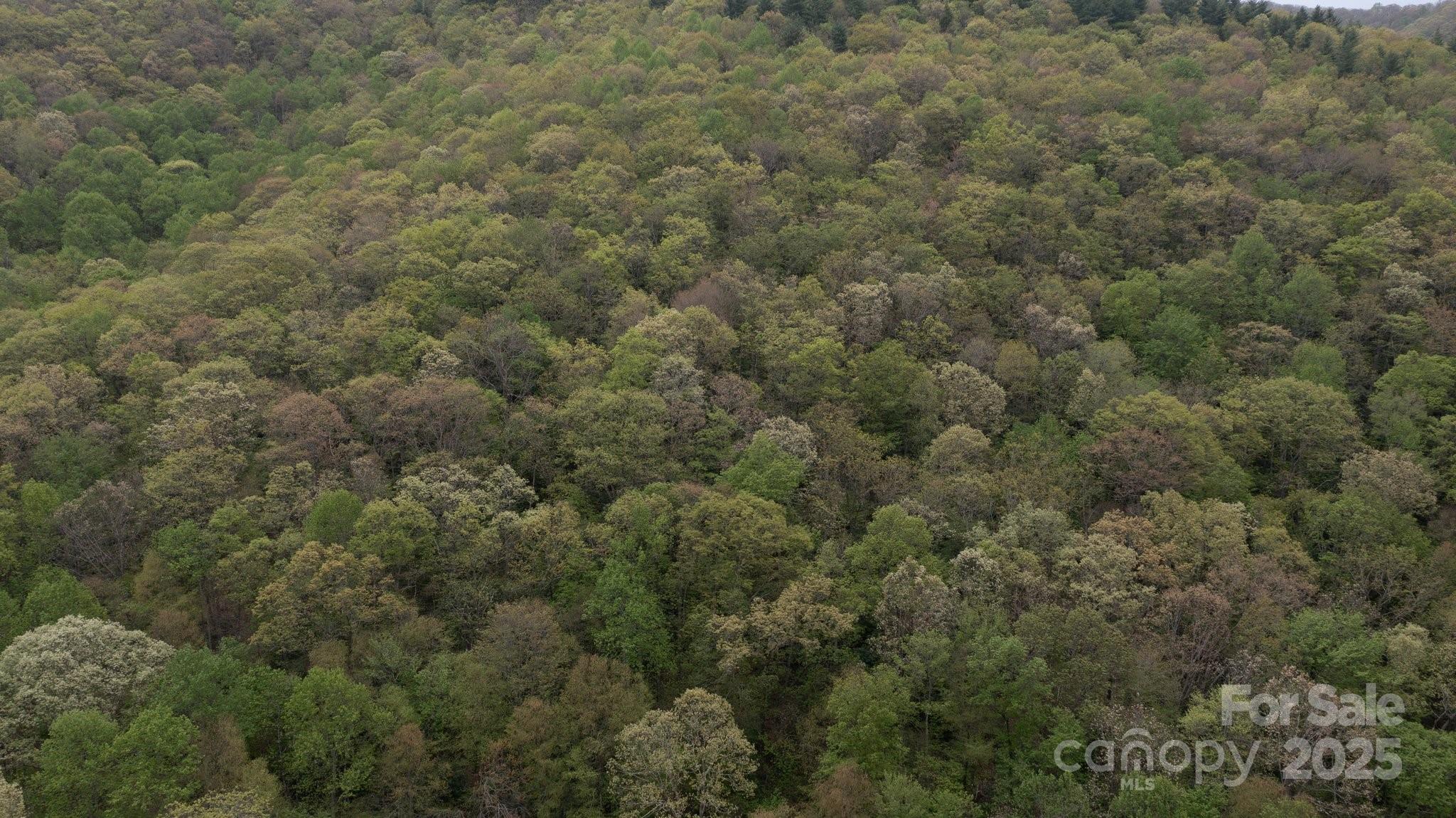 Tbd Clear Creek Road Burnsville NC 28714