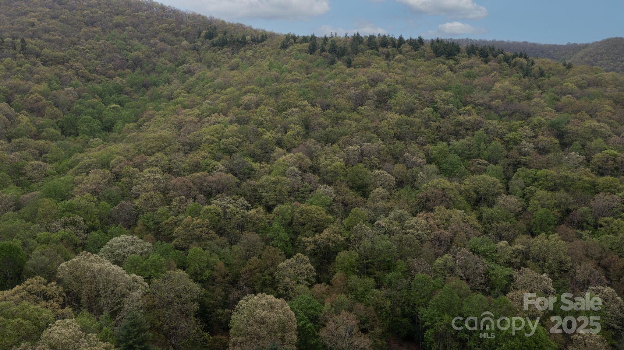 Tbd Clear Creek Road Burnsville NC 28714