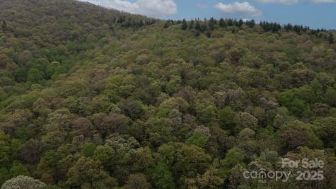 Tbd Clear Creek Road Burnsville NC 28714