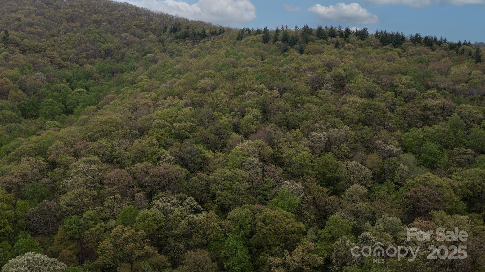 Tbd Clear Creek Road Burnsville NC 28714