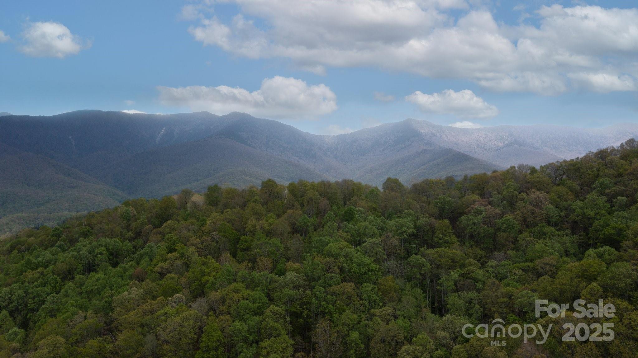 Tbd Clear Creek Road Burnsville NC 28714