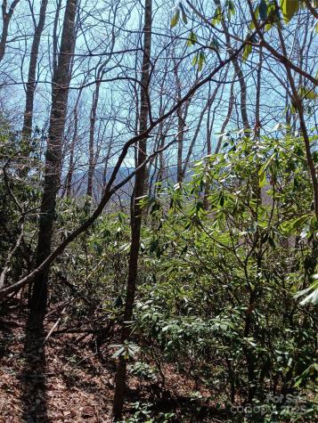 Tbd Clear Creek Road Burnsville NC 28714