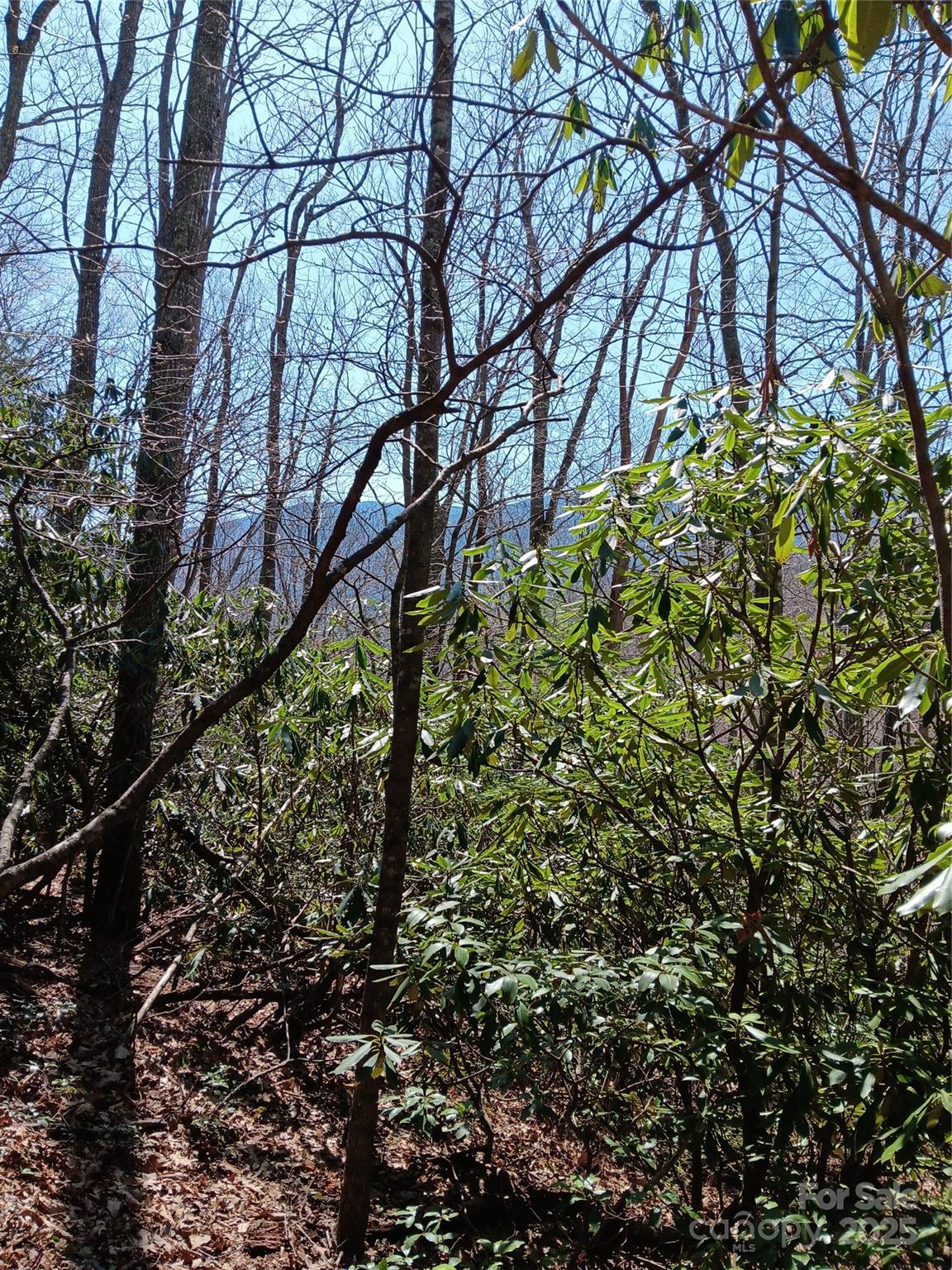 Tbd Clear Creek Road Burnsville NC 28714