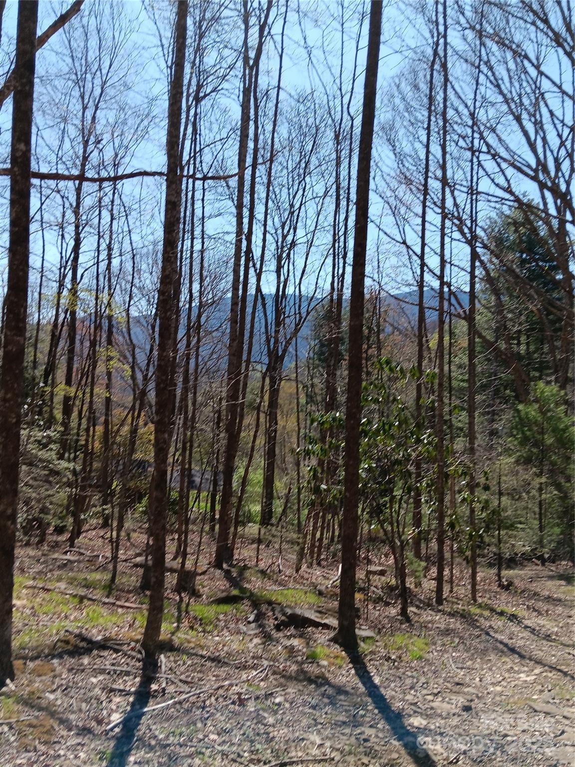 Tbd Clear Creek Road Burnsville NC 28714